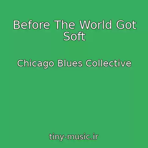 کاور آهنگ Before The World Got Soft از Chicago Blues Collective