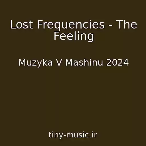 کاور آهنگ Lost Frequencies - The Feeling از Muzyka V Mashinu 2024
