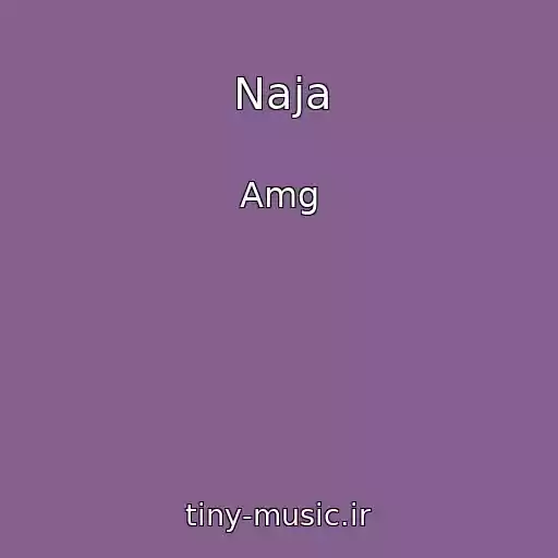 کاور آهنگ Naja از Amg
