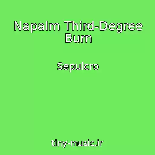 کاور آهنگ Napalm Third-Degree Burn از Sepulcro
