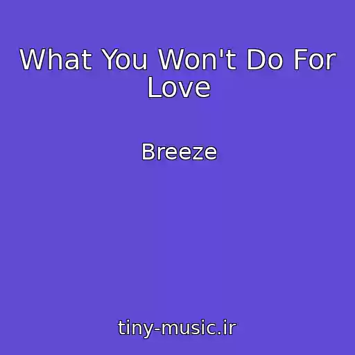 کاور آهنگ What You Won't Do For Love از Breeze
