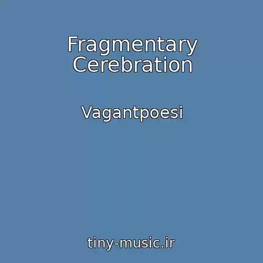 کاور آهنگ Fragmentary Cerebration از Vagantpoesi