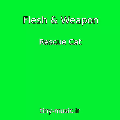 کاور آهنگ Flesh & Weapon از Rescue Cat