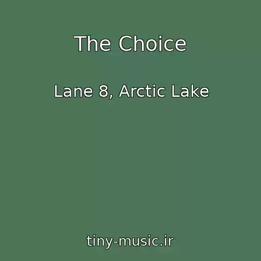کاور آهنگ The Choice از Lane 8, Arctic Lake