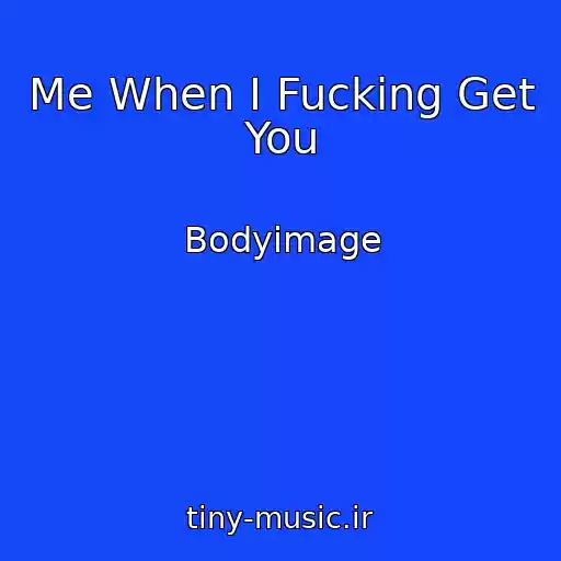 کاور آهنگ Me When I Fucking Get You از Bodyimage