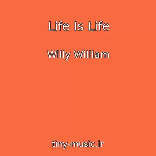 کاور آهنگ Life Is Life از Willy William