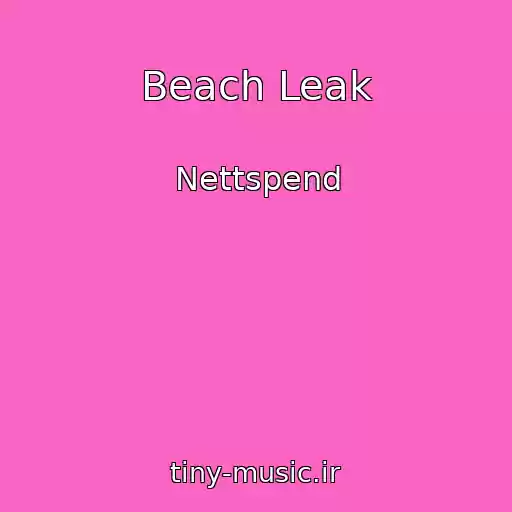 کاور آهنگ Beach Leak از Nettspend