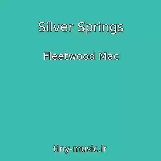 کاور آهنگ Silver Springs از Fleetwood Mac