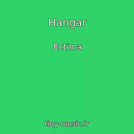 کاور آهنگ Hangar از Ectima