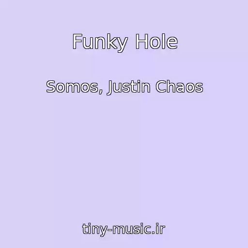 کاور آهنگ Funky Hole از Somos, Justin Chaos