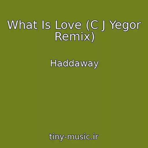 کاور آهنگ What Is Love (C J Yegor Remix) از Haddaway