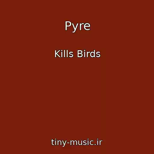 کاور آهنگ Pyre از Kills Birds