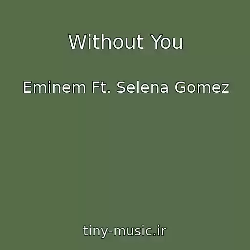کاور آهنگ Without You از Eminem Ft. Selena Gomez