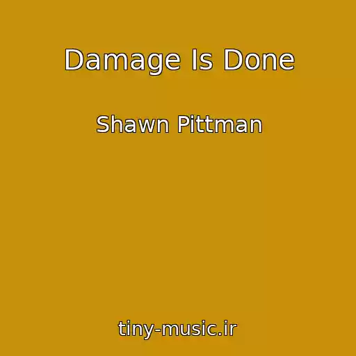 کاور آهنگ Damage Is Done از Shawn Pittman