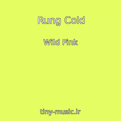 کاور آهنگ Rung Cold از Wild Pink