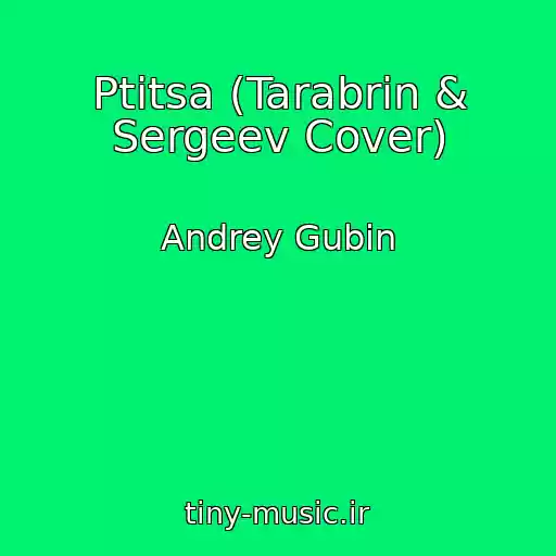 کاور آهنگ Ptitsa (Tarabrin & Sergeev Cover) از Andrey Gubin