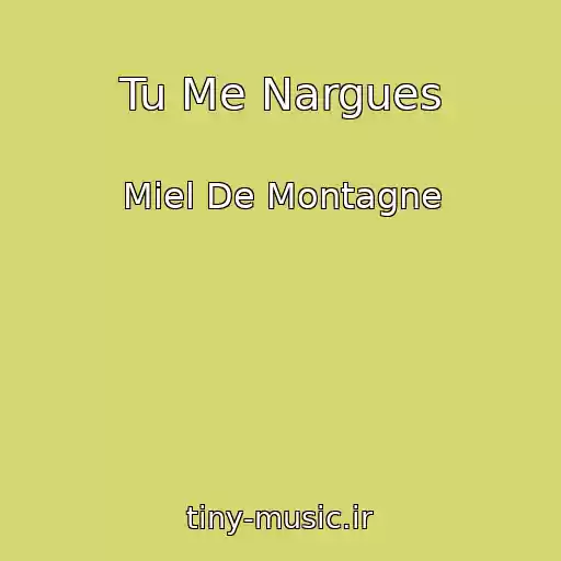 کاور آهنگ Tu Me Nargues از Miel De Montagne