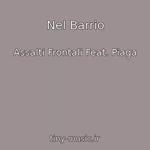 کاور آهنگ Nel Barrio از Assalti Frontali Feat. Piaga
