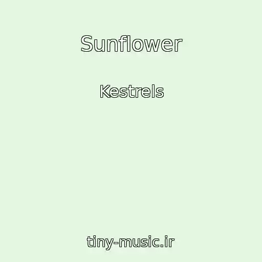 کاور آهنگ Sunflower از Kestrels