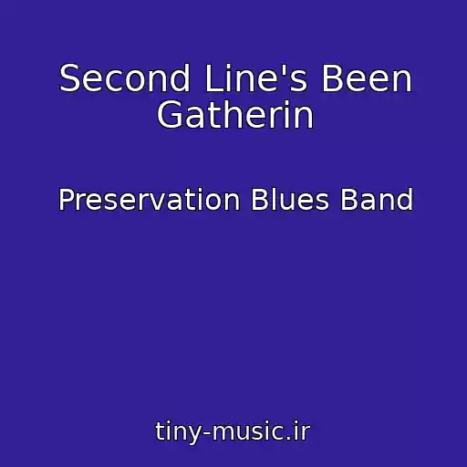 کاور آهنگ Second Line's Been Gatherin از Preservation Blues Band