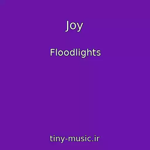 کاور آهنگ Joy از Floodlights