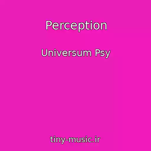 کاور آهنگ Perception از Universum Psy