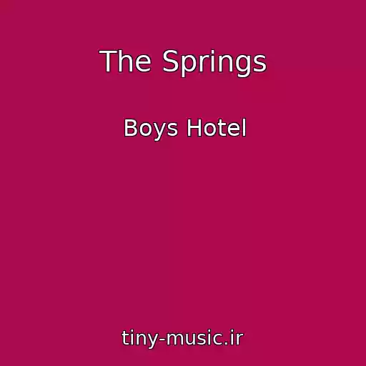 کاور آهنگ The Springs از Boys Hotel