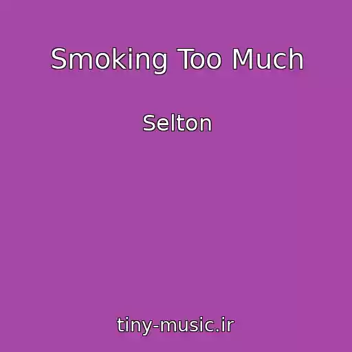 کاور آهنگ Smoking Too Much از Selton