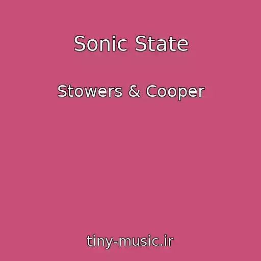 کاور آهنگ Sonic State از Stowers & Cooper