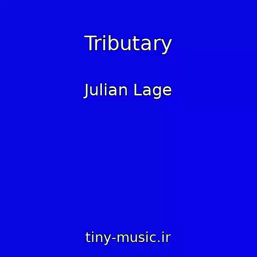 کاور آهنگ Tributary از Julian Lage