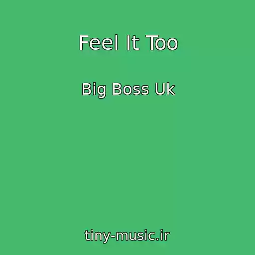 کاور آهنگ Feel It Too از Big Boss Uk