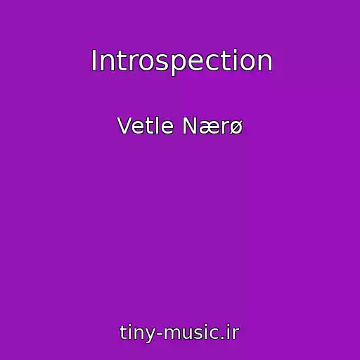 کاور آهنگ Introspection از Vetle Nærø