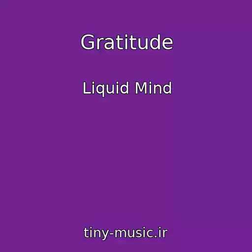 کاور آهنگ Gratitude از Liquid Mind