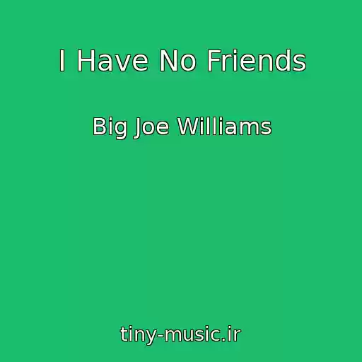کاور آهنگ I Have No Friends از Big Joe Williams