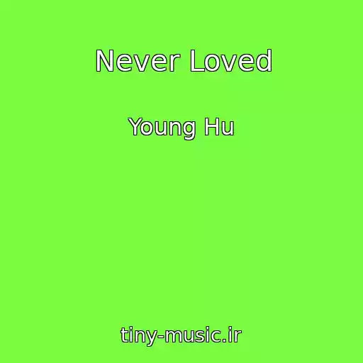 کاور آهنگ Never Loved از Young Hu
