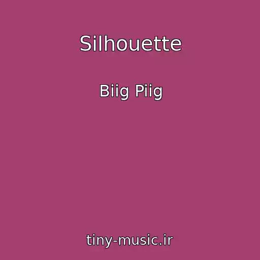 کاور آهنگ Silhouette از Biig Piig