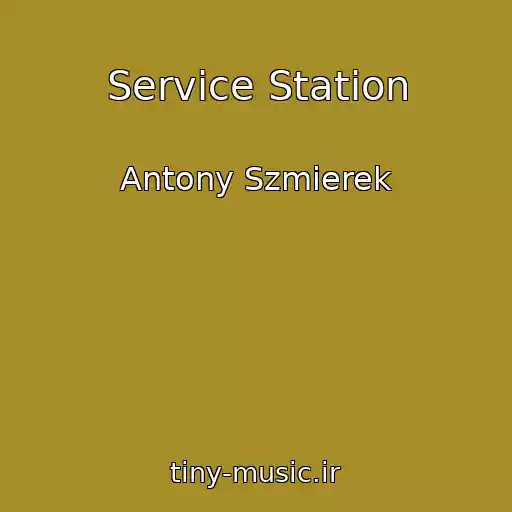 کاور آهنگ Service Station از Antony Szmierek