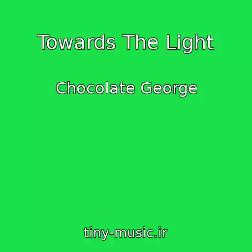 کاور آهنگ Towards The Light از Chocolate George