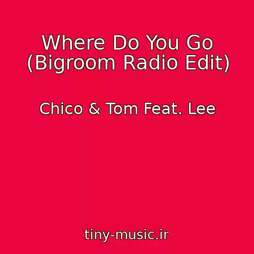 کاور آهنگ Where Do You Go (Bigroom Radio Edit) از Chico & Tom Feat. Lee