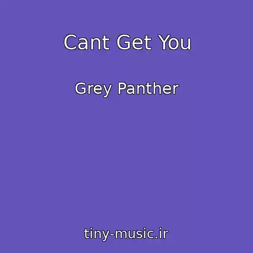 کاور آهنگ Cant Get You از Grey Panther