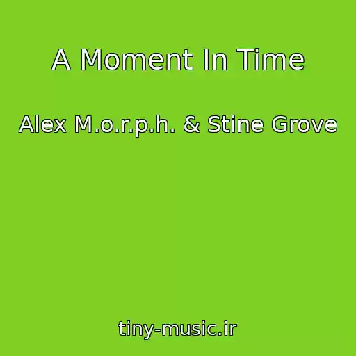 کاور آهنگ A Moment In Time از Alex M.o.r.p.h. & Stine Grove