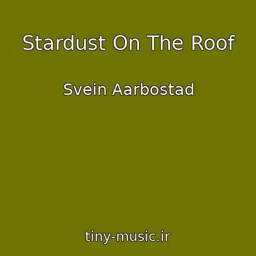 کاور آهنگ Stardust On The Roof از Svein Aarbostad