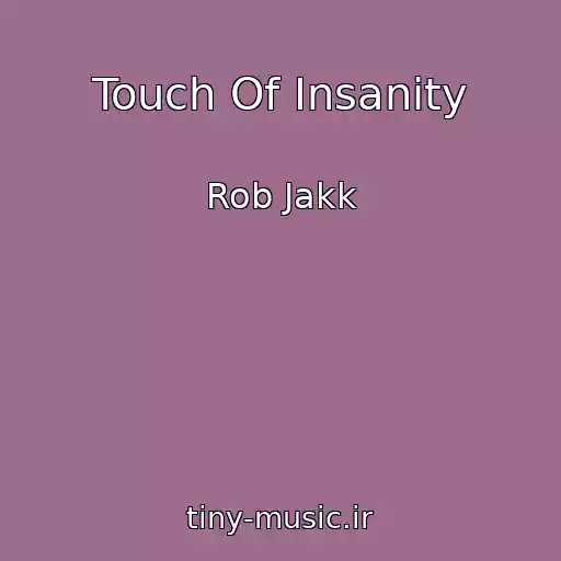 کاور آهنگ Touch Of Insanity از Rob Jakk