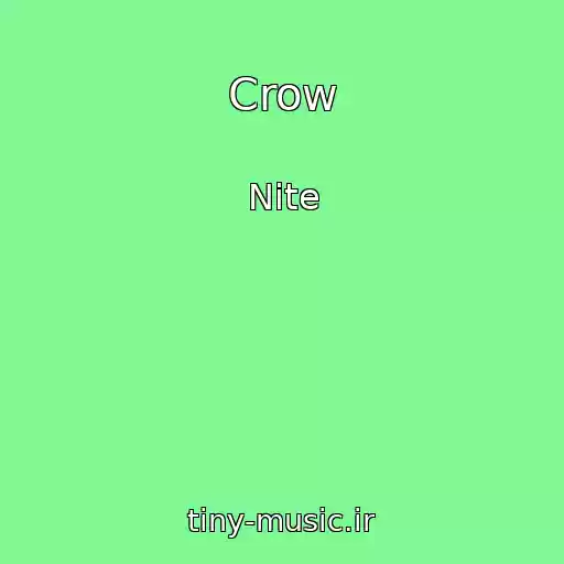 کاور آهنگ Crow از Nite