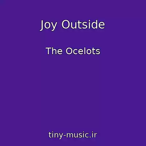 کاور آهنگ Joy Outside از The Ocelots