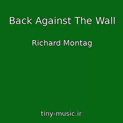 کاور آهنگ Back Against The Wall از Richard Montag