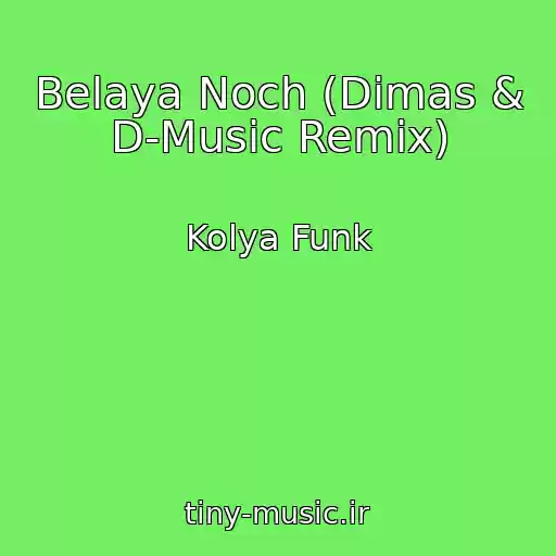 کاور آهنگ Belaya Noch (Dimas & D-Music Remix) از Kolya Funk