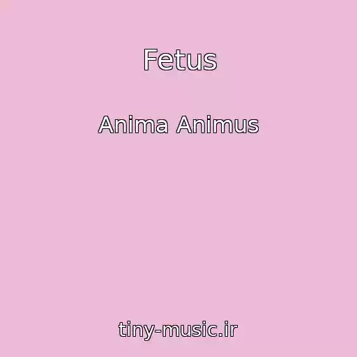 کاور آهنگ Fetus از Anima Animus