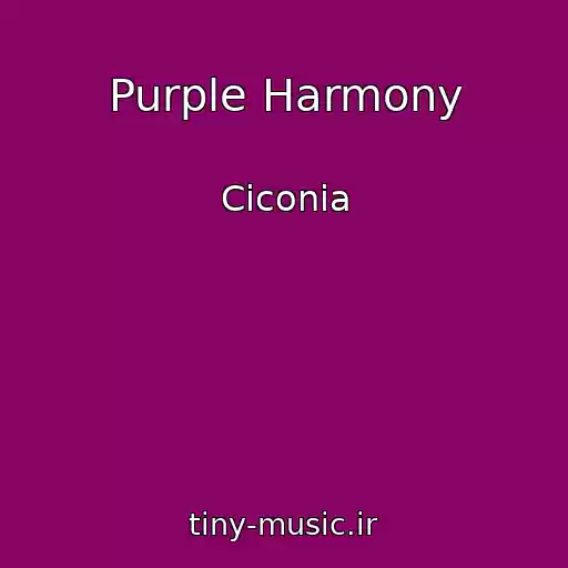 کاور آهنگ Purple Harmony از Ciconia