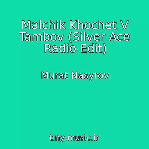 کاور آهنگ Malchik Khochet V Tambov (Silver Ace Radio Edit) از Murat Nasyrov